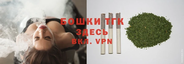 Альфа ПВП Бородино